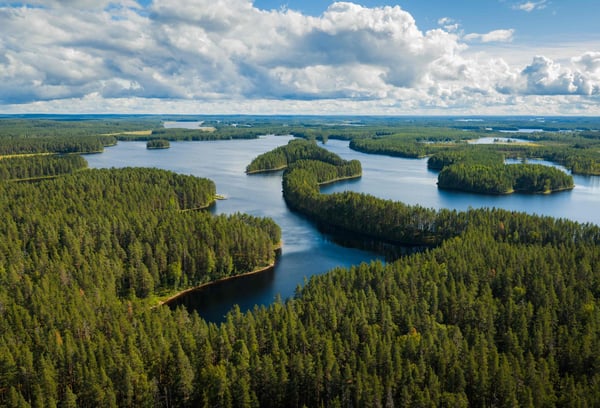 2025_Pro Lakeland_North Karelia_summer_Petkeljärvi_hires--11_2