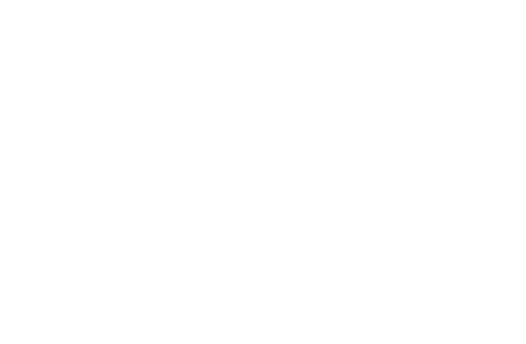 Polvijarvi_pysty_nega_RGB