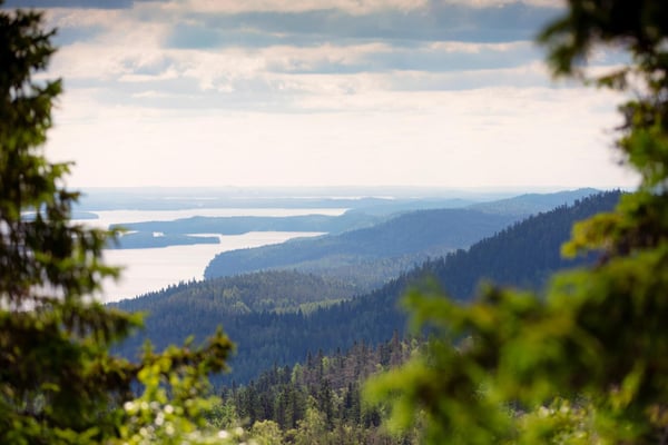 VK-Harri-Tarvainen-Kolibysummer-min